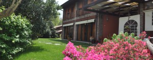 il vecchio castagno azienda agricola