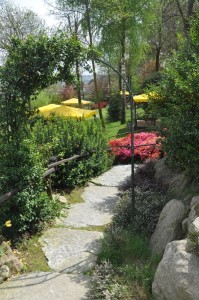 il vecchio castagno camminata