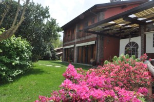 il vecchio castagno giardino