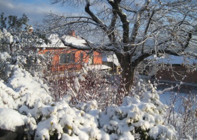 il vecchio castagno neve