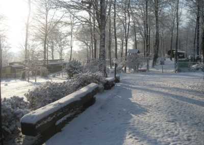 il vecchio castagno neve