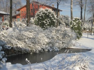 il vecchio castagno neve