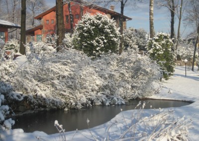 il vecchio castagno neve
