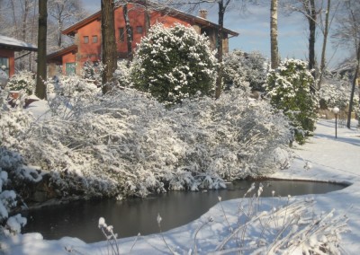 il vecchio castagno neve