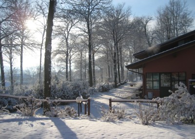 il vecchio castagno neve