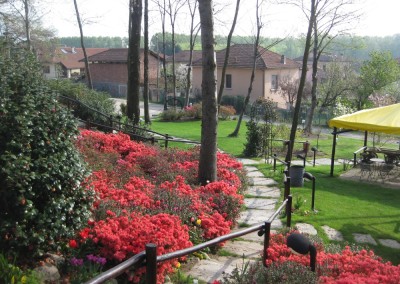 il vecchio castagno fiori