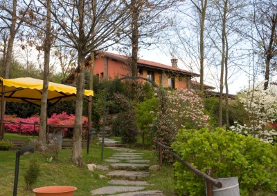 il vecchio castagno giardino