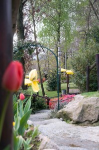 il vecchio castagno giardino