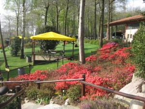 giardino il vecchio castagno