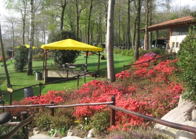 giardino il vecchio castagno