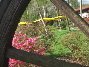 azienda agricola il vecchio castagno giardino