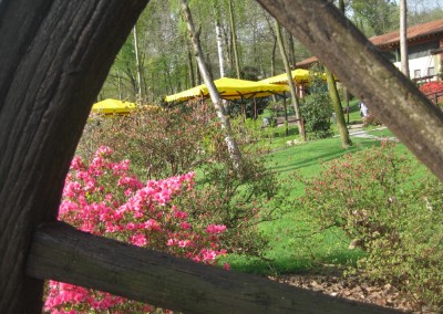 azienda agricola il vecchio castagno giardino