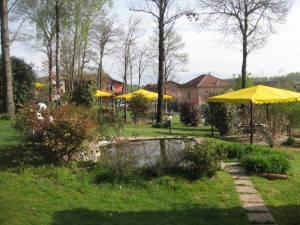 azienda agricola il vecchio castagno giardino