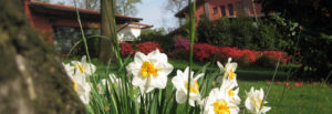 slider fiori