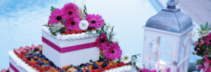 Slider_Torta fucsia